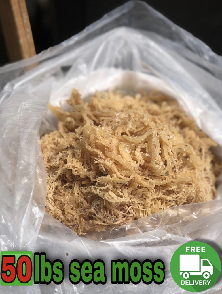 sea moss wholesale 50 lbs