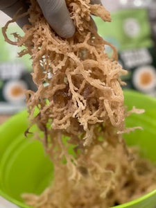 where to get real sea moss