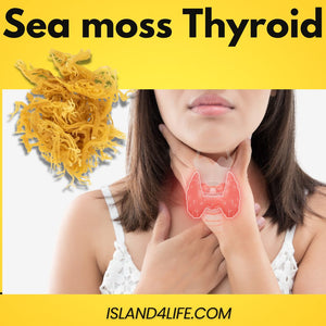 sea moss thyroid