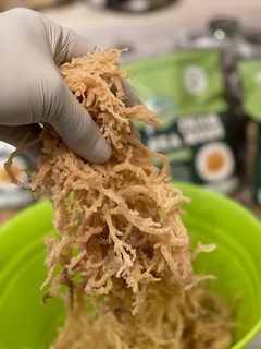 Wholesale Gold Irish Sea moss