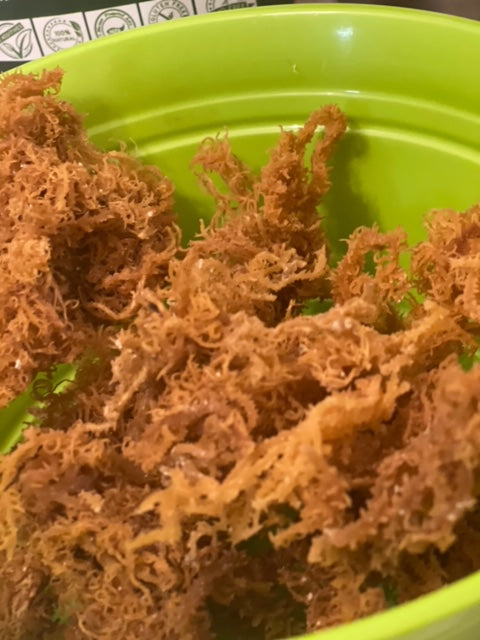 2oz SIZE Brown Sea moss