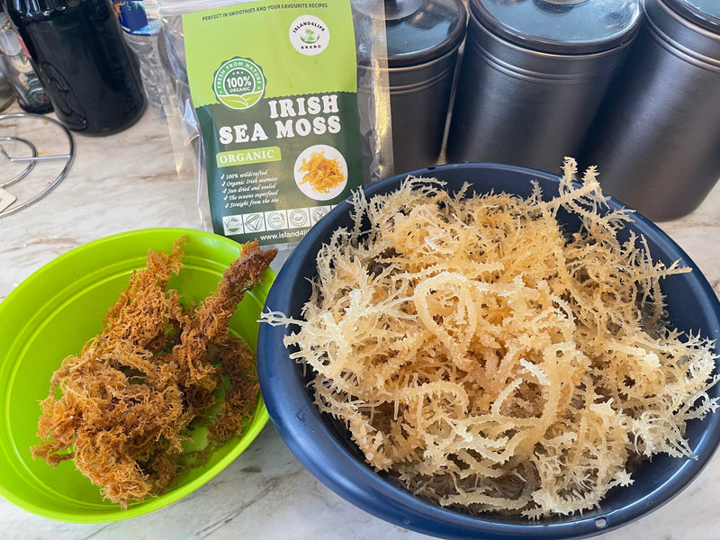 1 lb /16OZ Brown Irish Sea moss